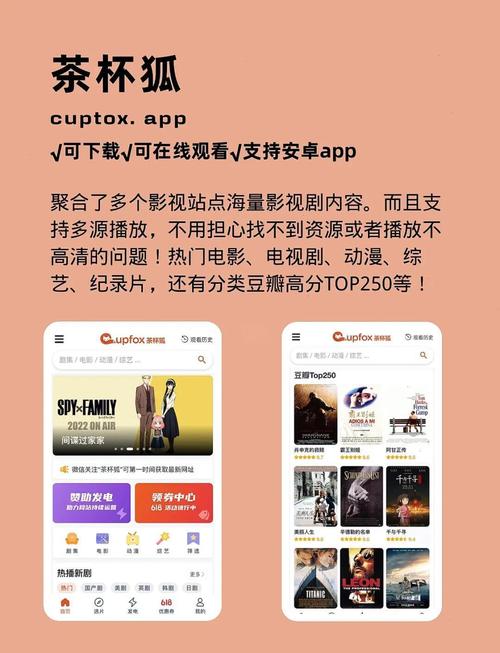 麻豆影院的相关介绍
